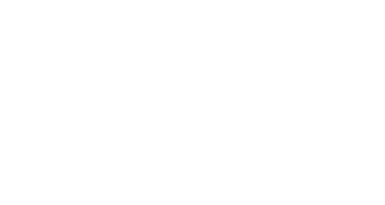 Euro Service